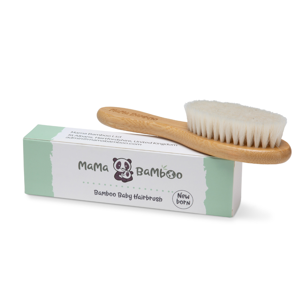 Hairbrush DS